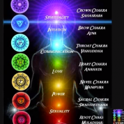 Chakras Reiki Music