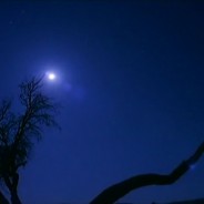Fairy NightSongs